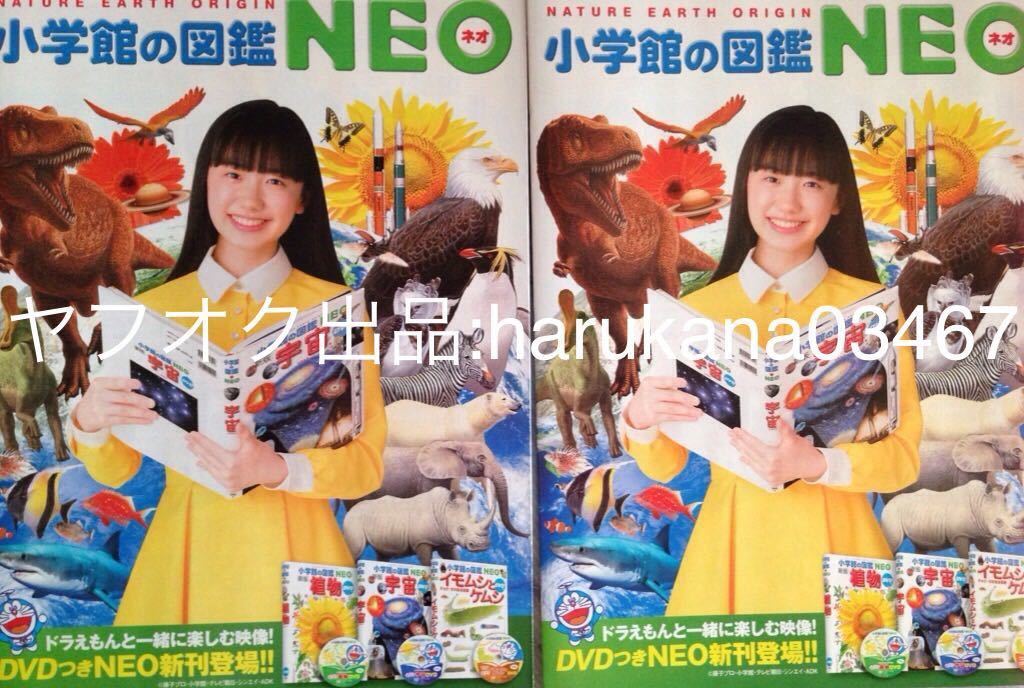 ネオソルバンのリーフレット