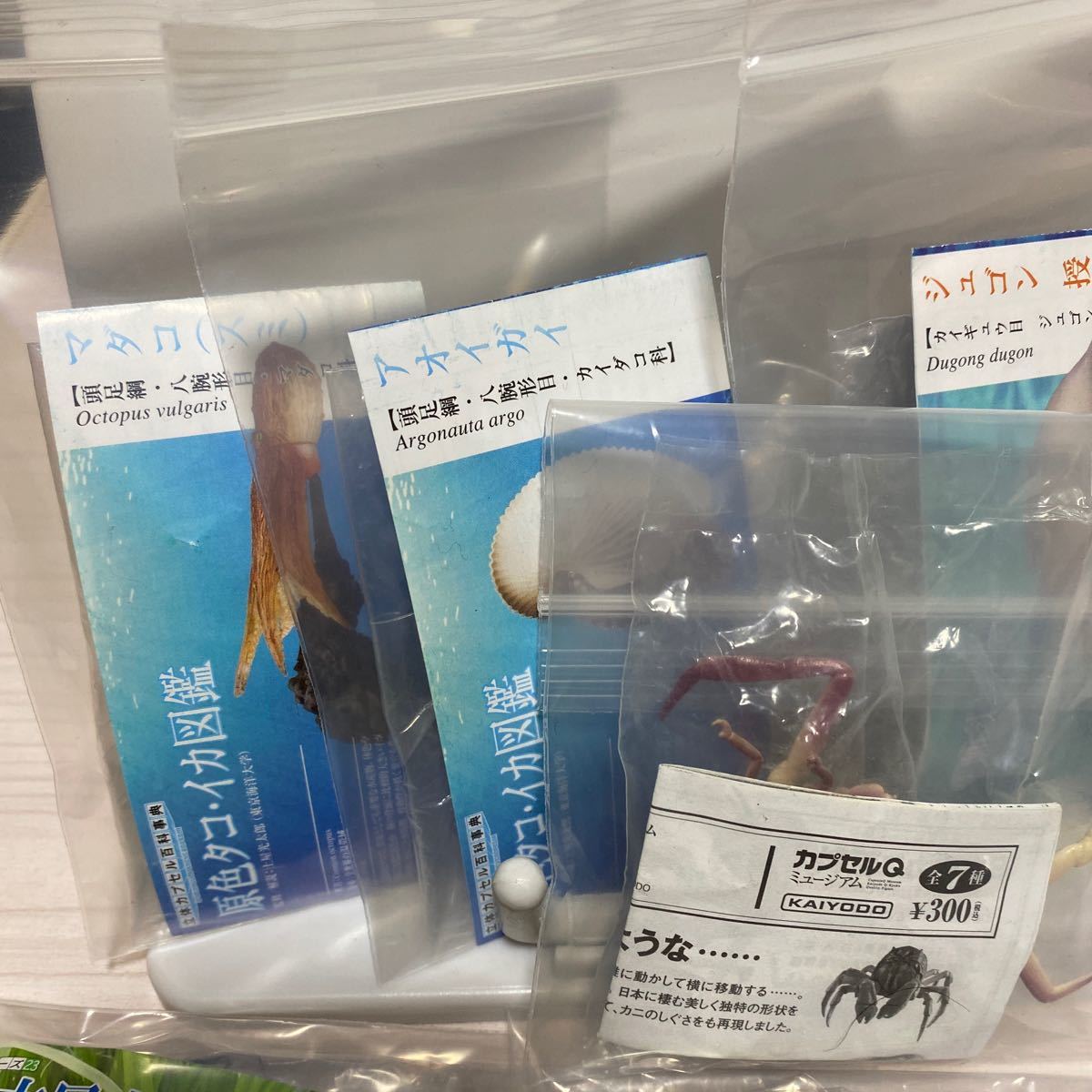 Yujin 原色図鑑 原色タコ イカ図鑑 原色海生哺乳類図鑑 原色日本昆虫図鑑 原色観賞魚図鑑 原色甲殻類エビ カニ図鑑 カプセルq 海洋堂 の落札情報詳細 ヤフオク落札価格情報 オークフリー スマートフォン版