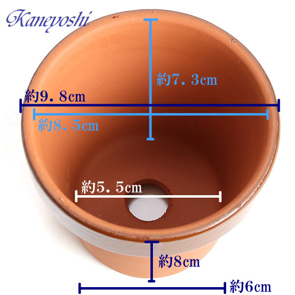 新品 大好評 激安 即決 植木鉢 陶器 サイズ 9 8cm ダ温鉢 深 3号 の落札情報詳細 ヤフオク落札価格情報 オークフリー スマートフォン版