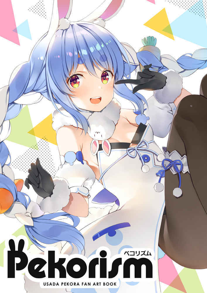 新品 Pekorism Wireframe フルカラーイラスト集 同人誌 ホロライブ 兎田ぺこら の落札情報詳細 ヤフオク落札価格情報 オークフリー スマートフォン版