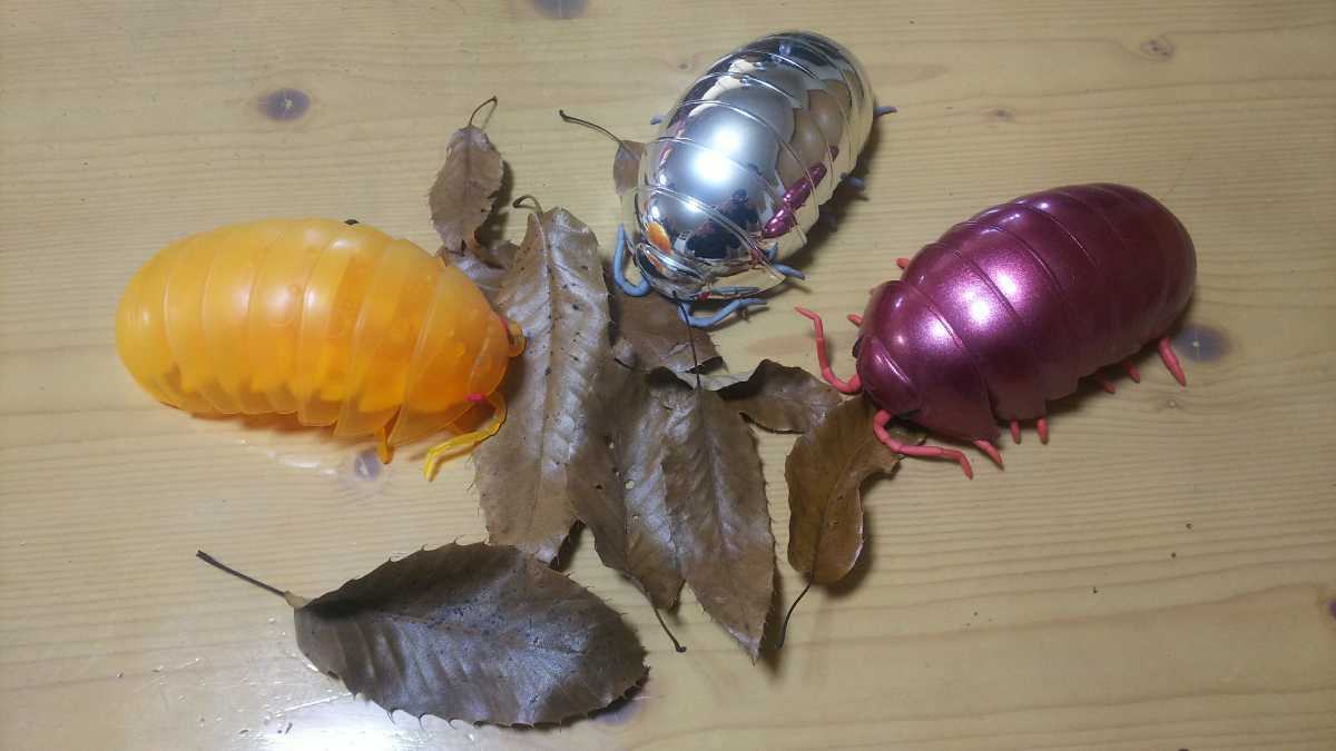 落ち葉 クヌギ ダンゴムシ ワラジムシ 土壌生物のエサ カブトムシ クワガタ ザリガニ の落札情報詳細 ヤフオク落札価格情報 オークフリー スマートフォン版