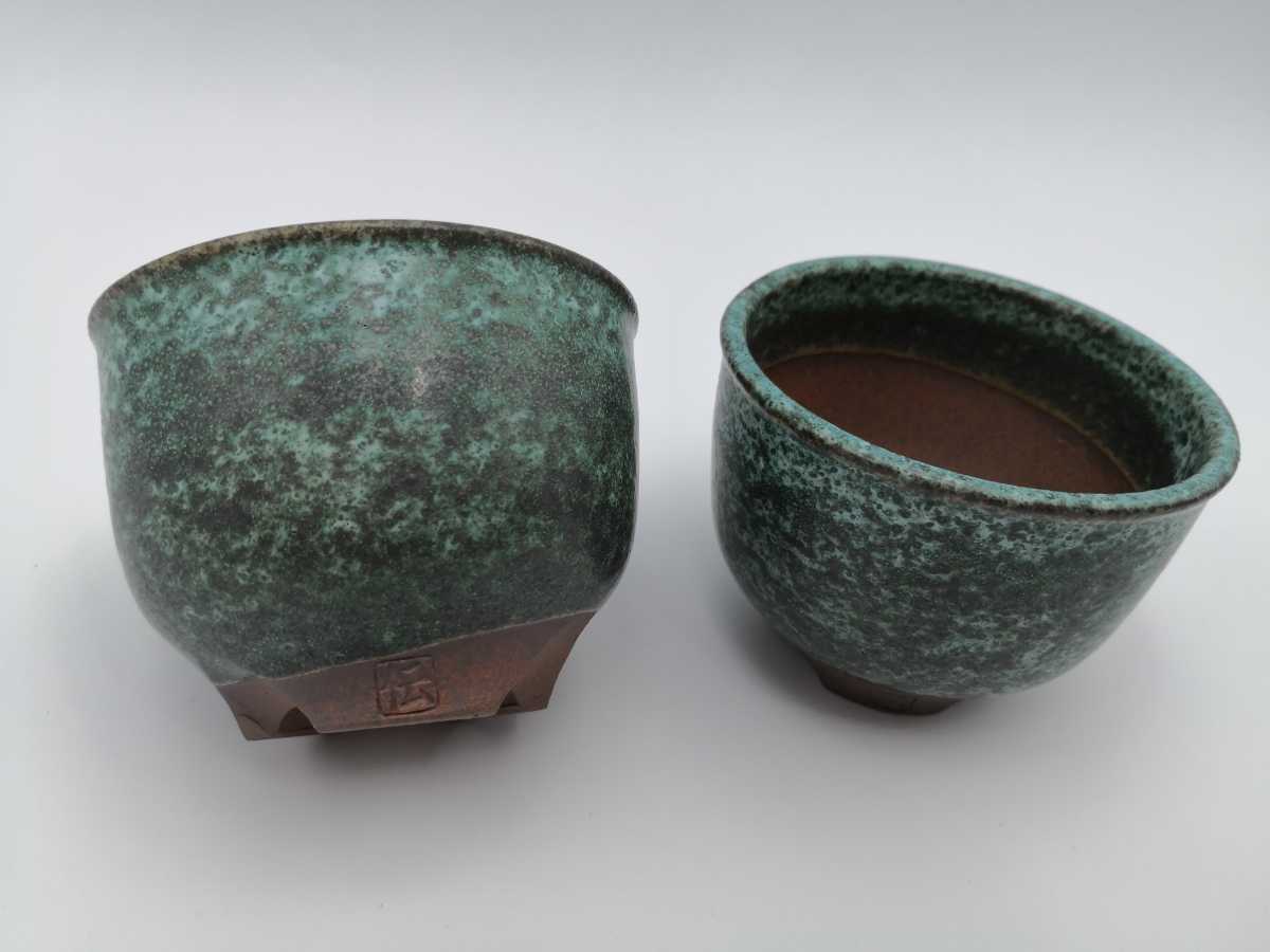 新品】2点セット 伝市鉢 3号 植木鉢 パキポディウム invisible ink Raw