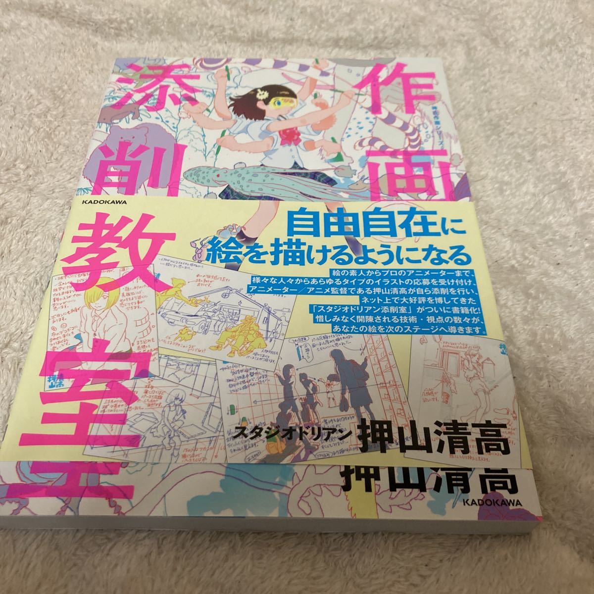作画添削教室 神技作画シリーズ 押山清高 イラスト 技法書 参考書 教科書 の落札情報詳細 ヤフオク落札価格情報 オークフリー スマートフォン版