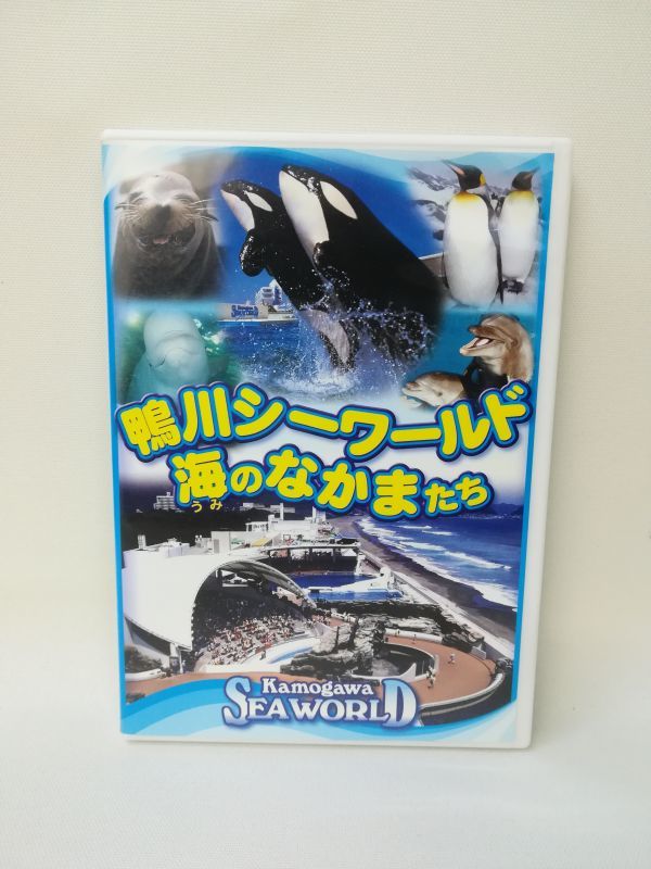 D0618 ☆ DVD 鴨川シーワールド 海のなかまたちの落札情報詳細 - Yahoo