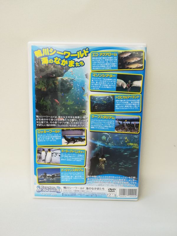 D0618 ☆ DVD 鴨川シーワールド 海のなかまたちの落札情報詳細 - Yahoo