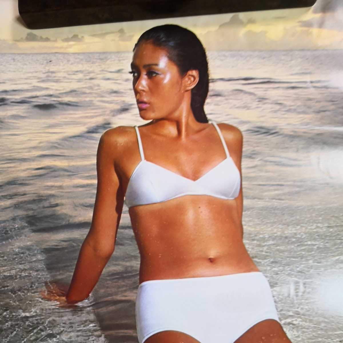 資生堂 「外国人モデル 水着 資生堂サンオイル ポスター」 古い宣伝用