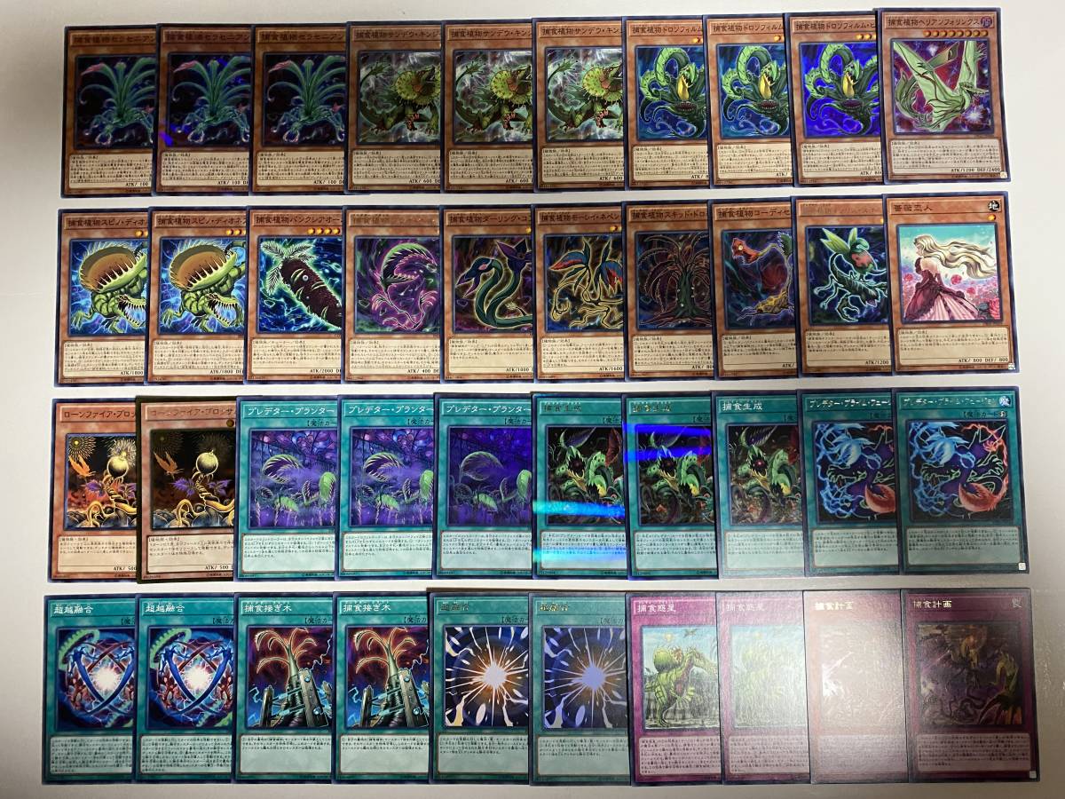 遊戯王 捕食植物 ギミックパペットデッキ 本格構築 プレデタープランツ 遊戯王 捕食植物 ギミックパペットデッキ 本格構築 プレデター