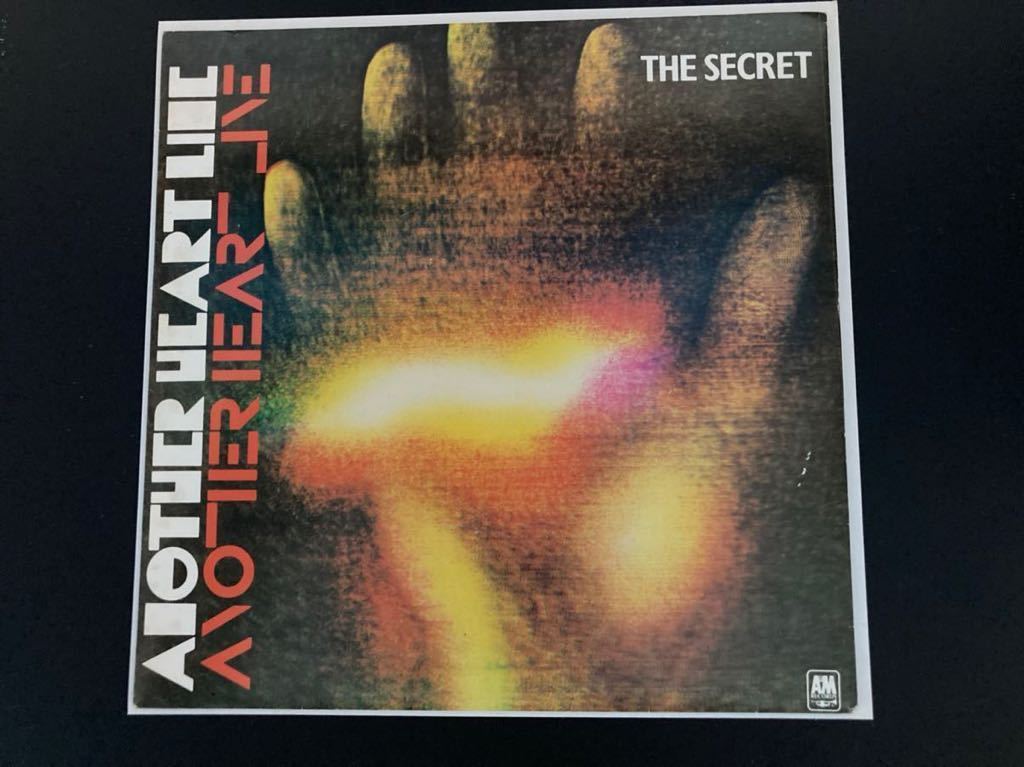 アサ芸シークレットDVD 根本凪 レア