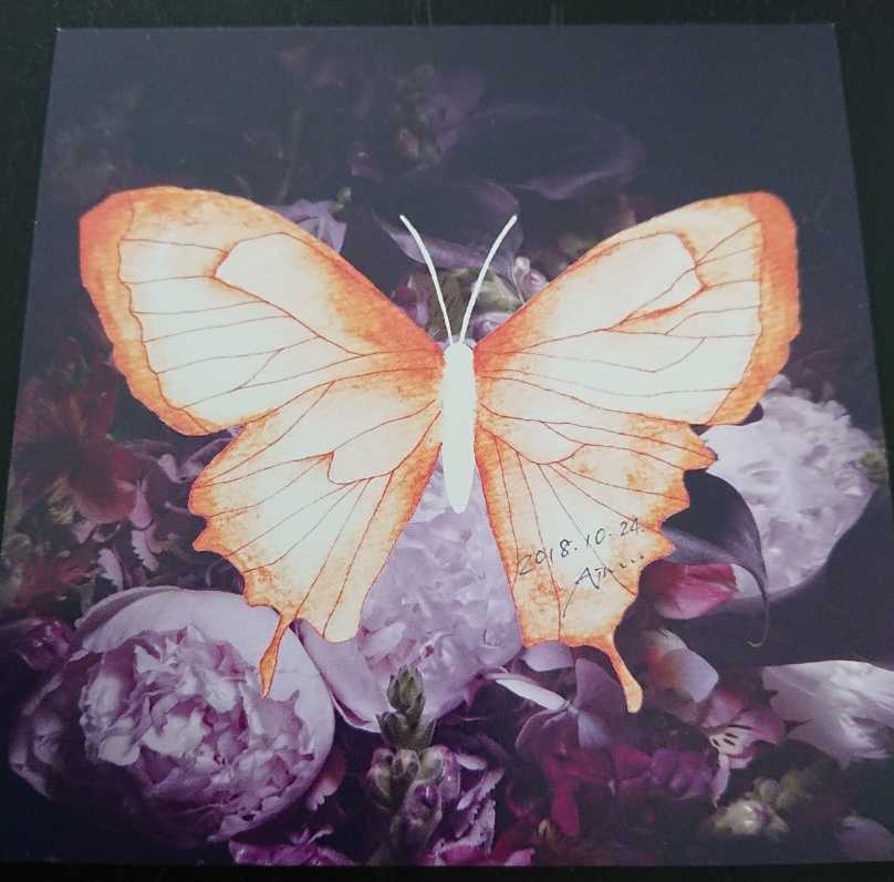 未使用】☆新品・未使用☆ Aimer □直筆サイン□ アナザージャケット