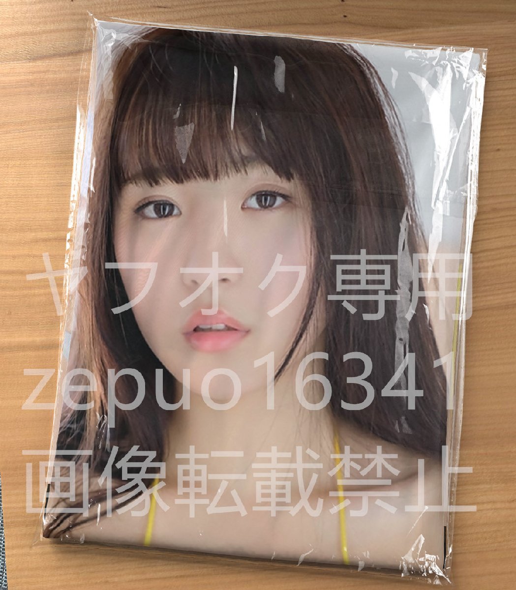 未使用に近い】浅川梨奈/抱き枕カバー/90cm×45cm/2wayトリコットの落札