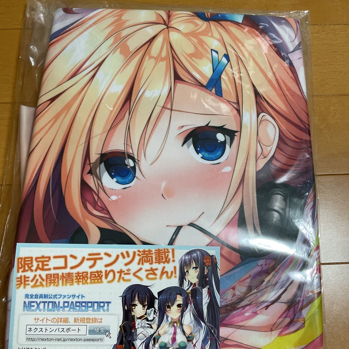 アイカギ 小鳥遊汐栞 抱き枕カバー ぎん太郎 あざらしそふと