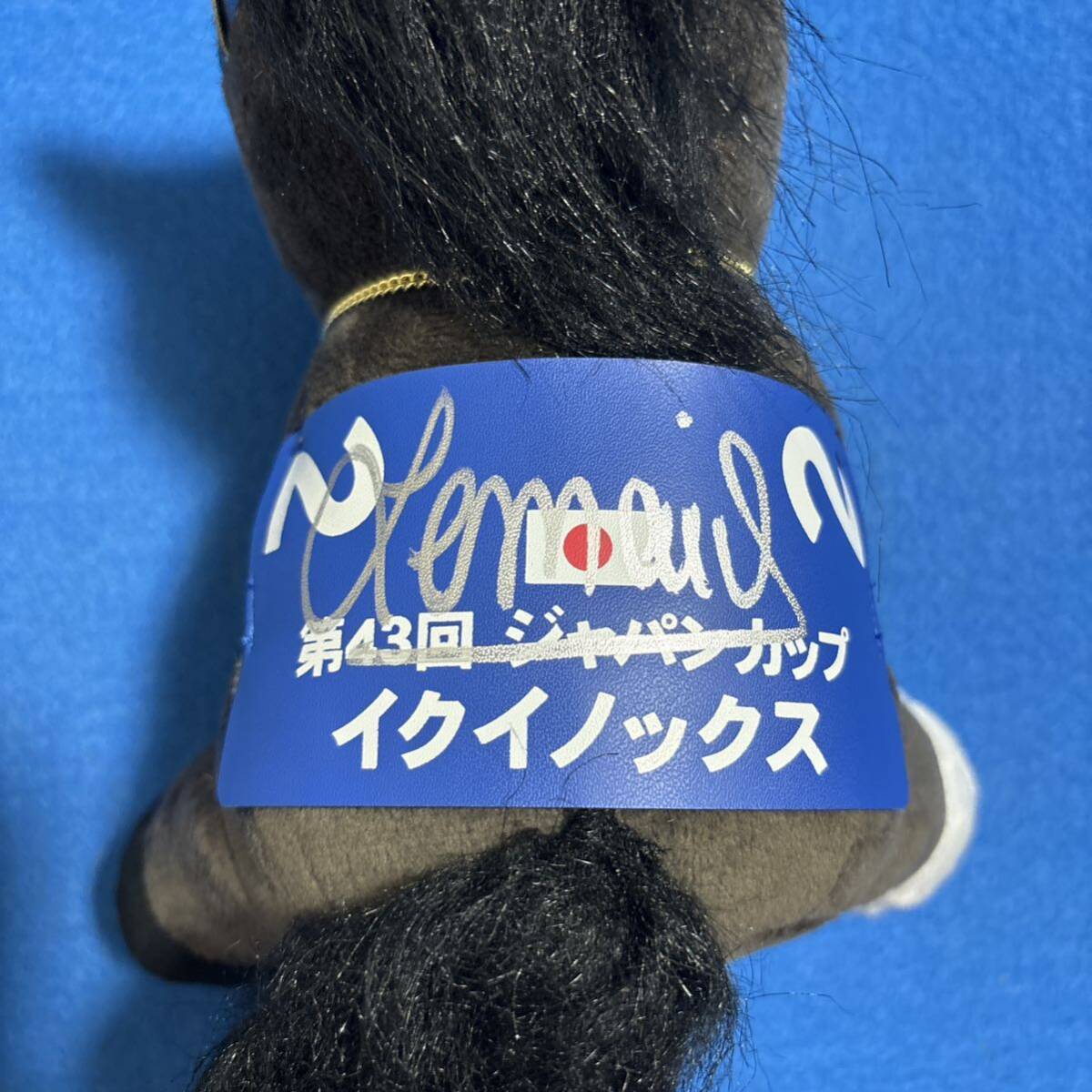 未使用に近い】【競馬 イクイノックス クリストフ・ルメール 直筆