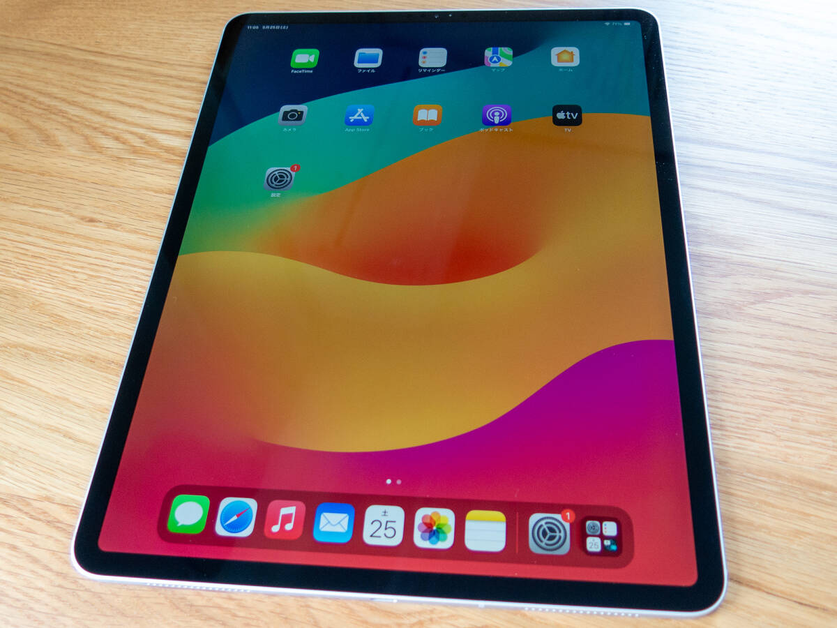 iPad Pro Wi-Fiモデル 256GB ML0U2J/A 12.9インチ 【公式通販】