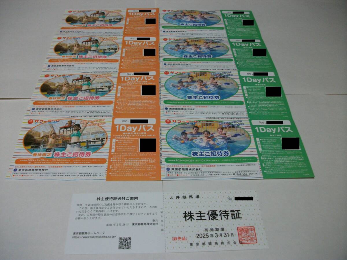 しほ様 サマーランド 東京サマーランド 株主優待券 ぽかっ 8枚 即発送可