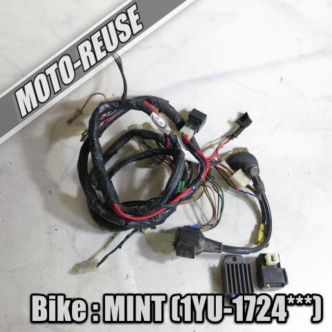 【傷や汚れあり】 【MINT ミント 1YU】純正メインハーネス+電装SET CDI/レギュレター/IGコイル「25L-MO」 K29287の ...