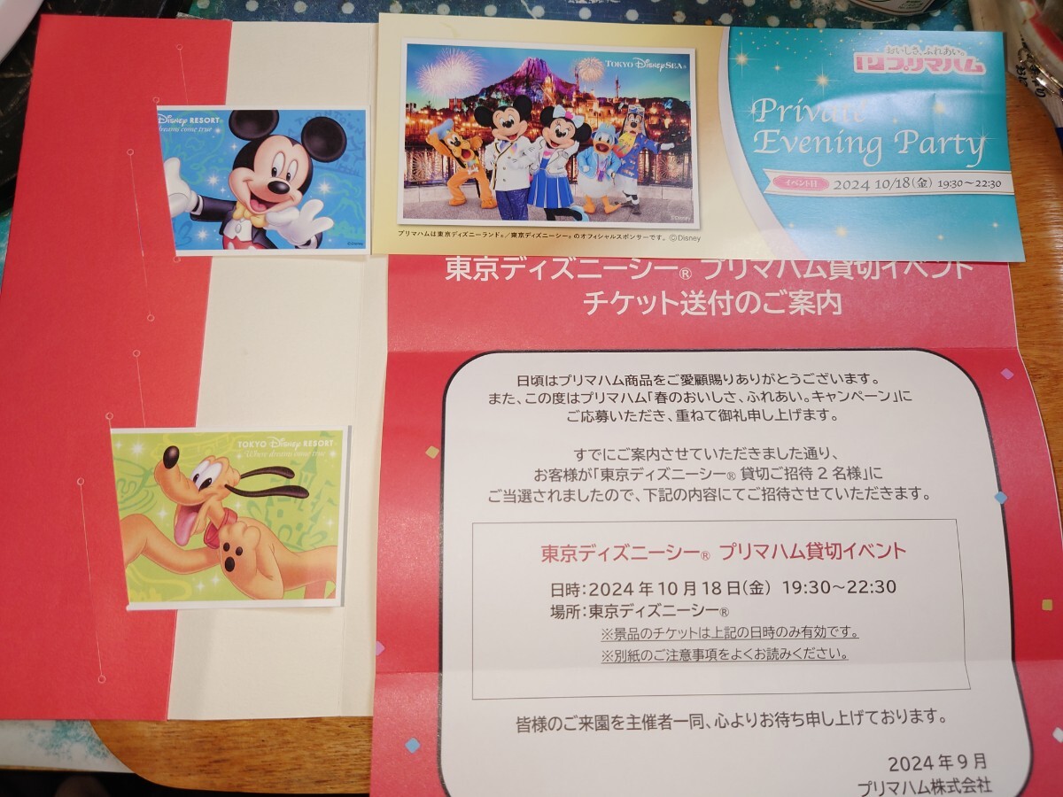 東京ディズニーシー 貸切イベント 2名様チケット 人気