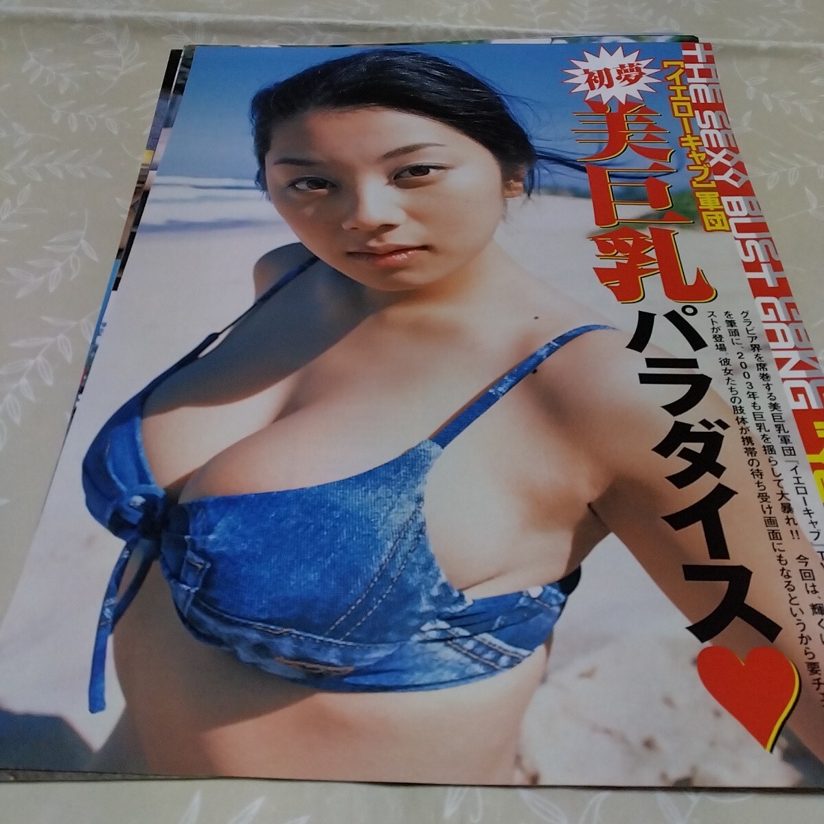 目立った傷や汚れなし】小池栄子 MEGUMI 2003年 イエローキャブ 美巨乳