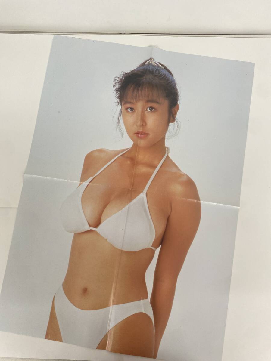 かとうれいこ　B2サイズポスター Yahoo!オークション - かとうれいこ アクエリアス B2サイズ