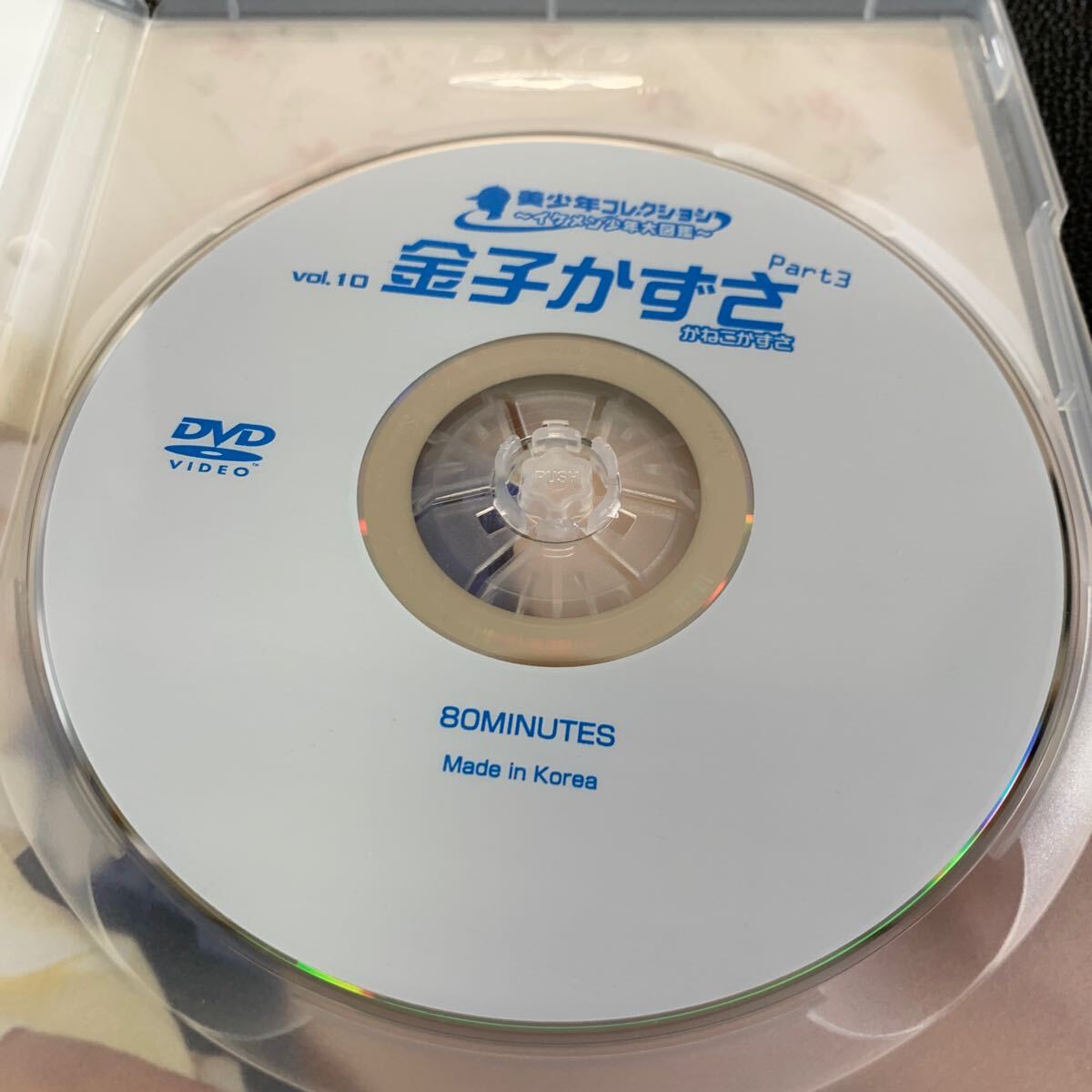 未使用に近い】木村朱壱＆介威 DVD 美少年コレクション イケメン