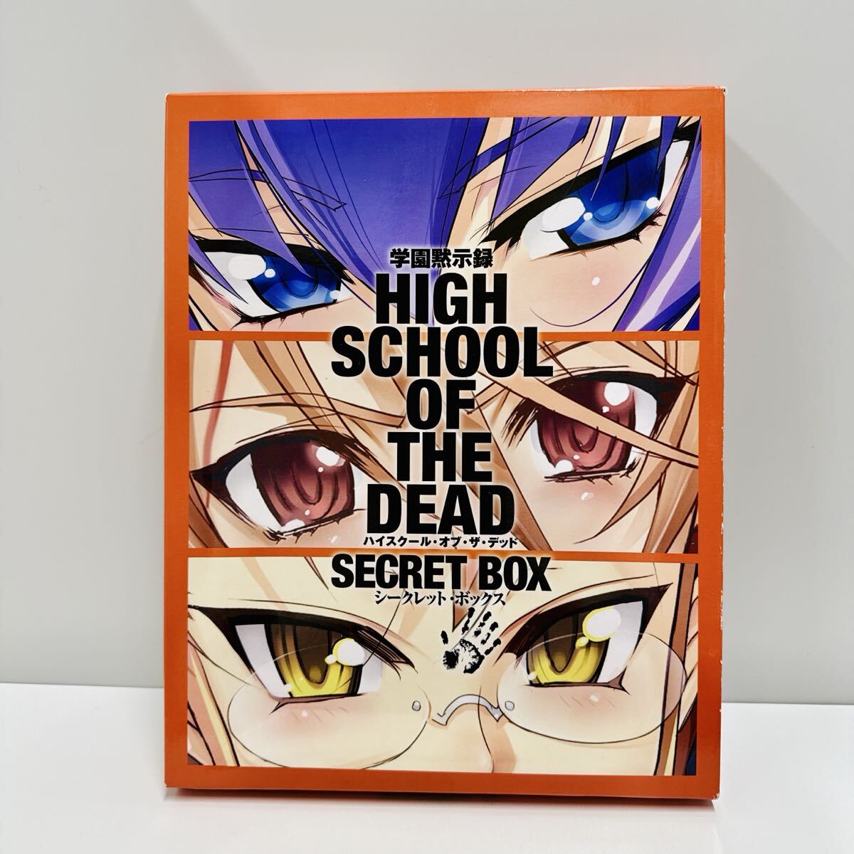 223クリアファイル 学園黙示録 ハイスクール・オブ・ザ・デッド 佐藤