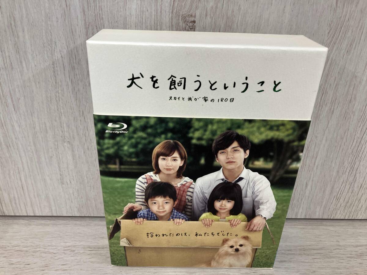 やや傷や汚れあり】錦戸亮 切り抜き 犬を飼うということ 8枚 TVガイド