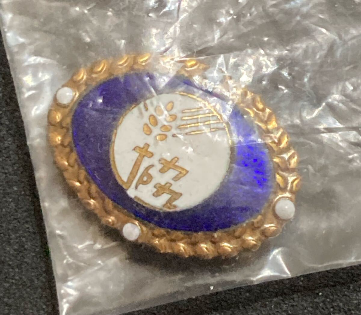 JA農協 農業協同組合連合会 金色の記章 ケース入り 社章 バッチ バッジ