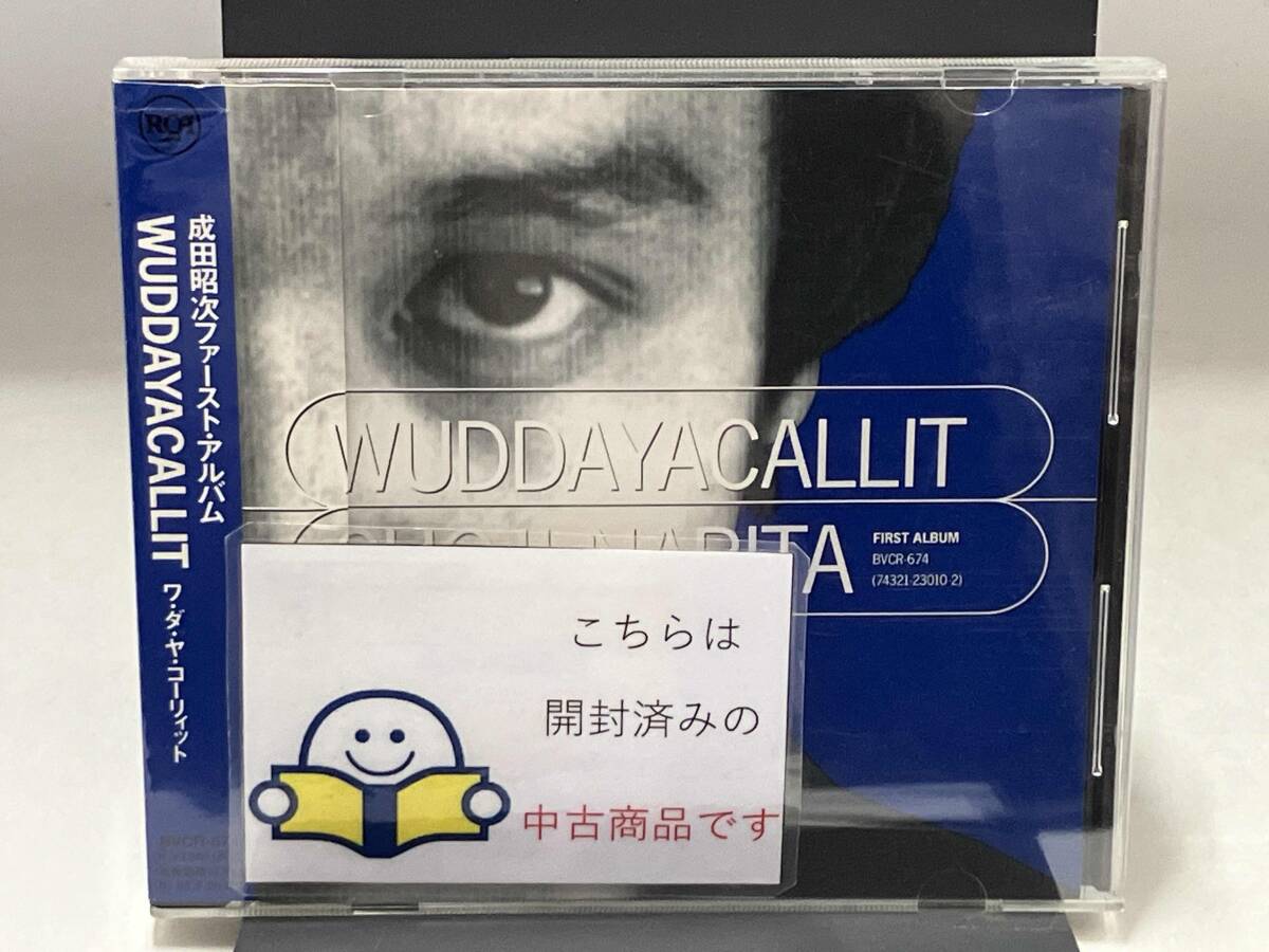中古】ゾロサン[B]WUDDAYACALLIT/成田宝/透明人間×サンジ/やや厚めの
