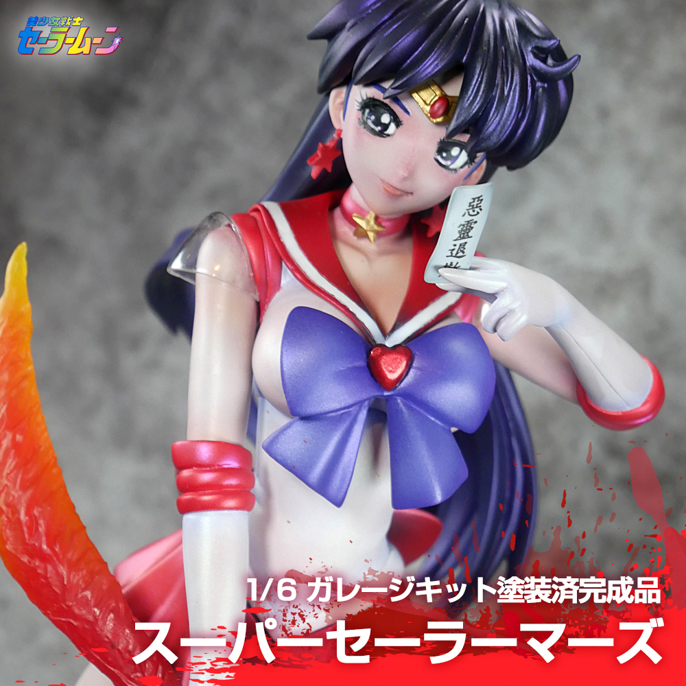 AIKA アイカ 皇藍華 アミエグラン ガレージキット 藤浦冬威 TOY'S