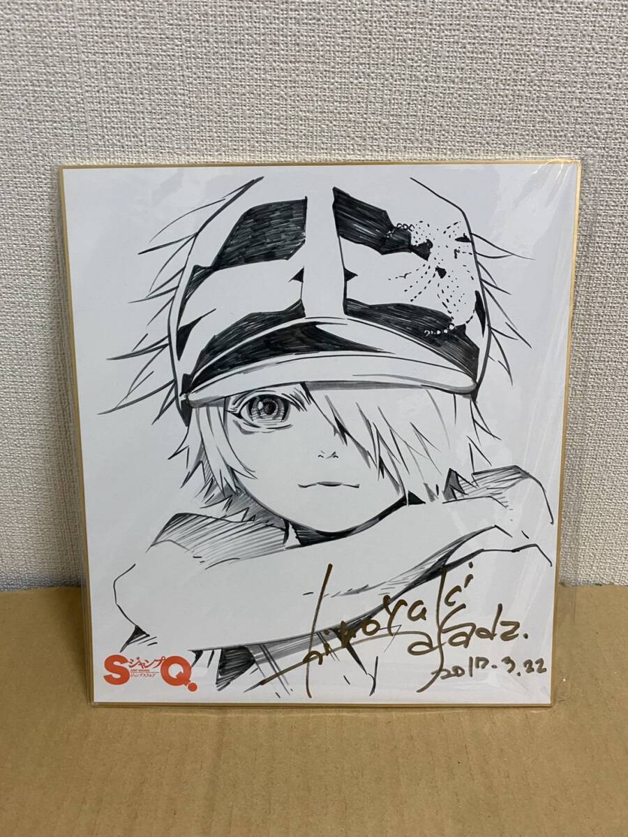 テガミバチ 浅田弘幸先生 直筆イラスト色紙 ラグ ララの落札情報詳細