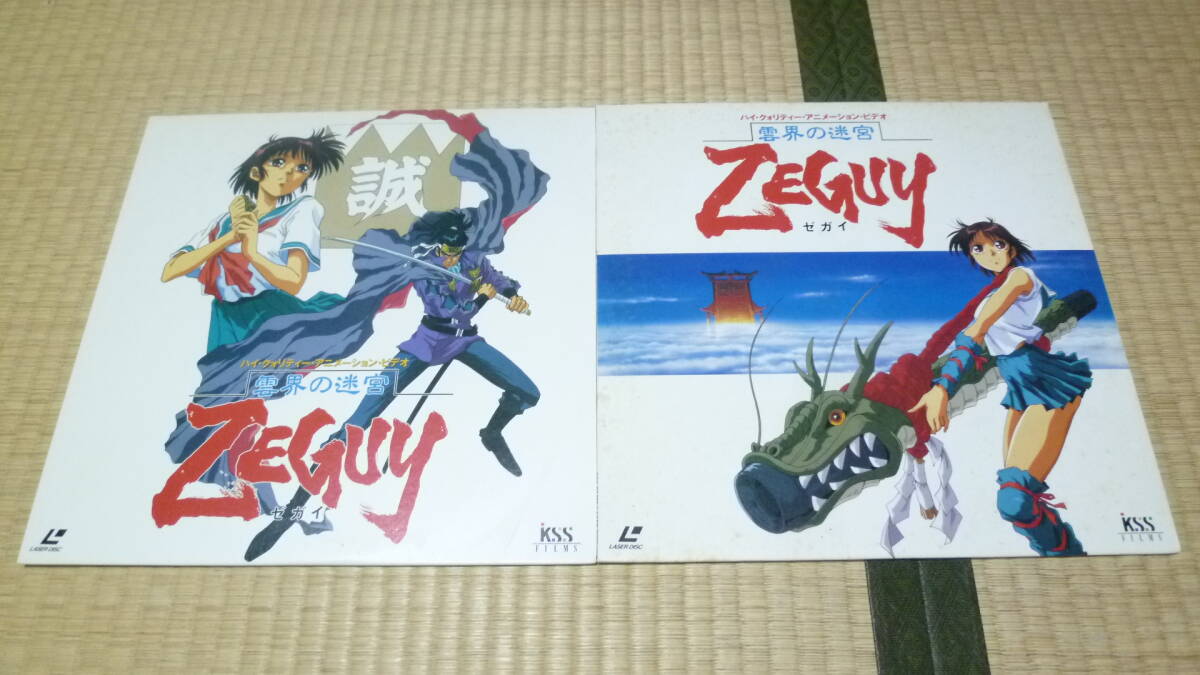 01DVD*レンタル版 雲界の迷宮 ZEGUY ゼガイ O14051の落札情報詳細