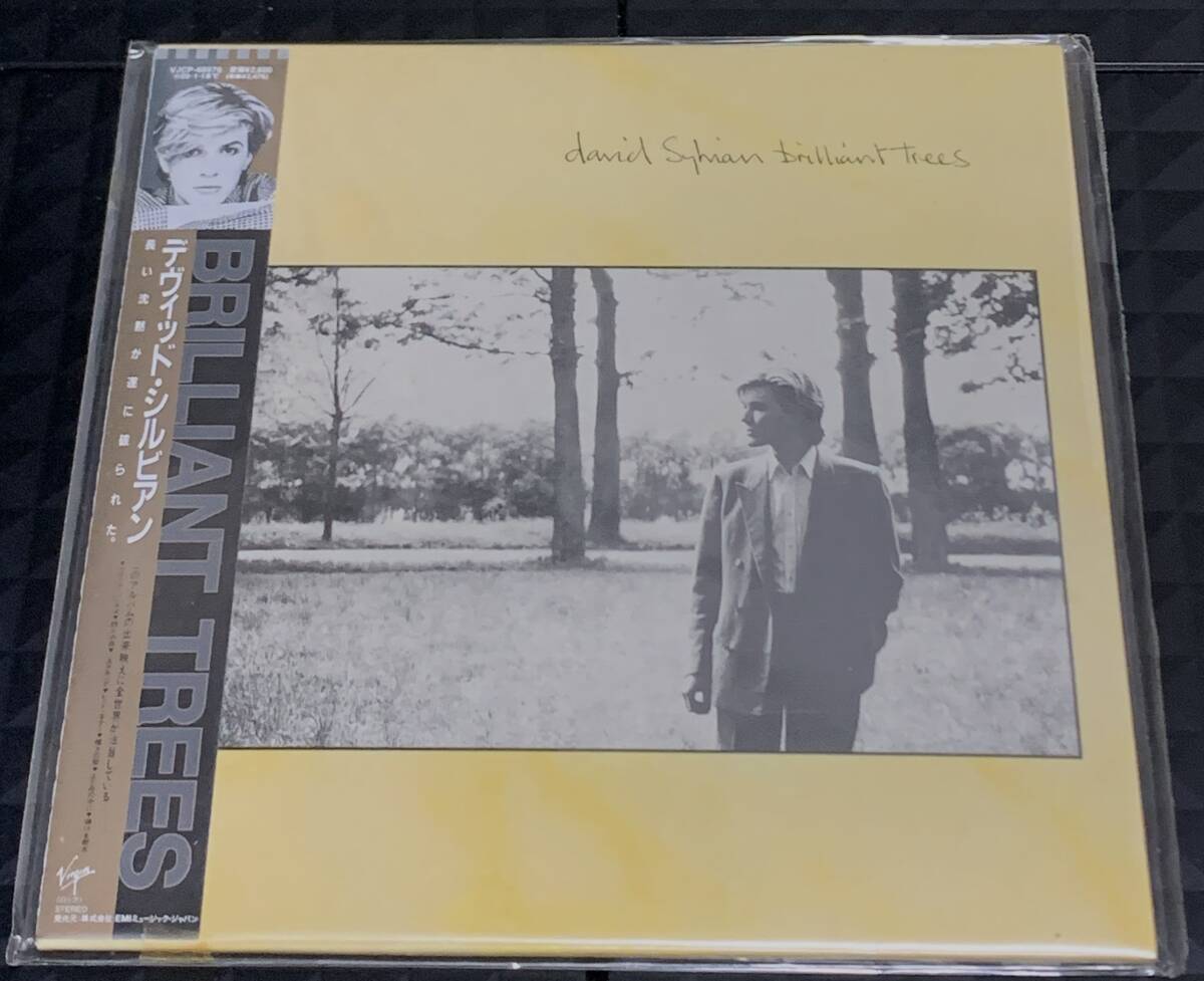 中古】希少☆楽譜 デヴィッド シルビアン DAVID SYLVIAN Brilliant