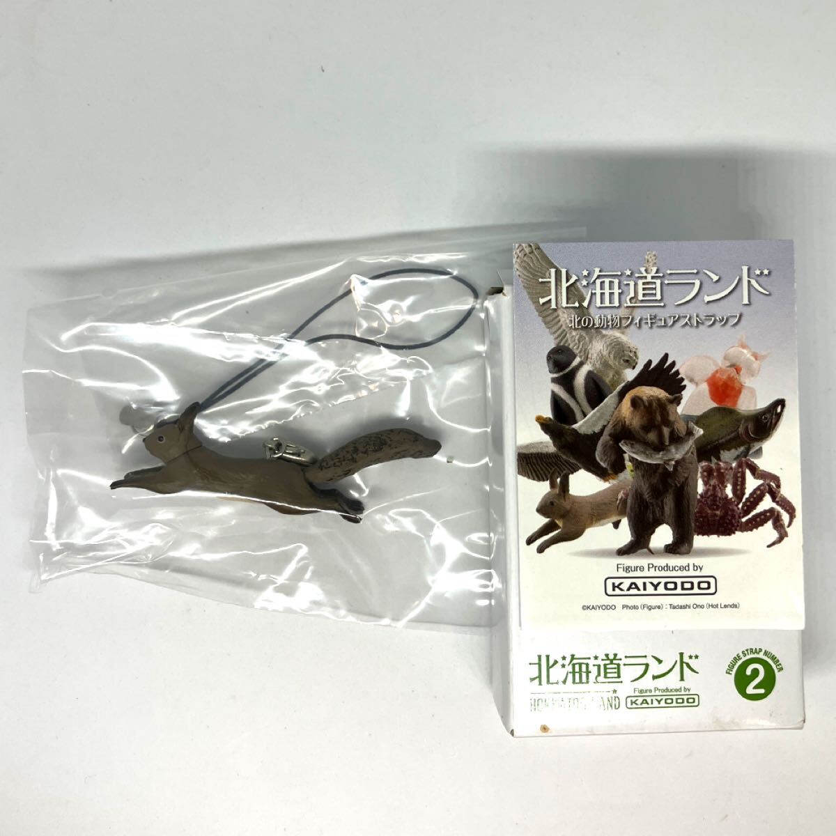 海洋堂 夏休み昆虫セット カナブン ガレージキット 完成品 松村しのぶ