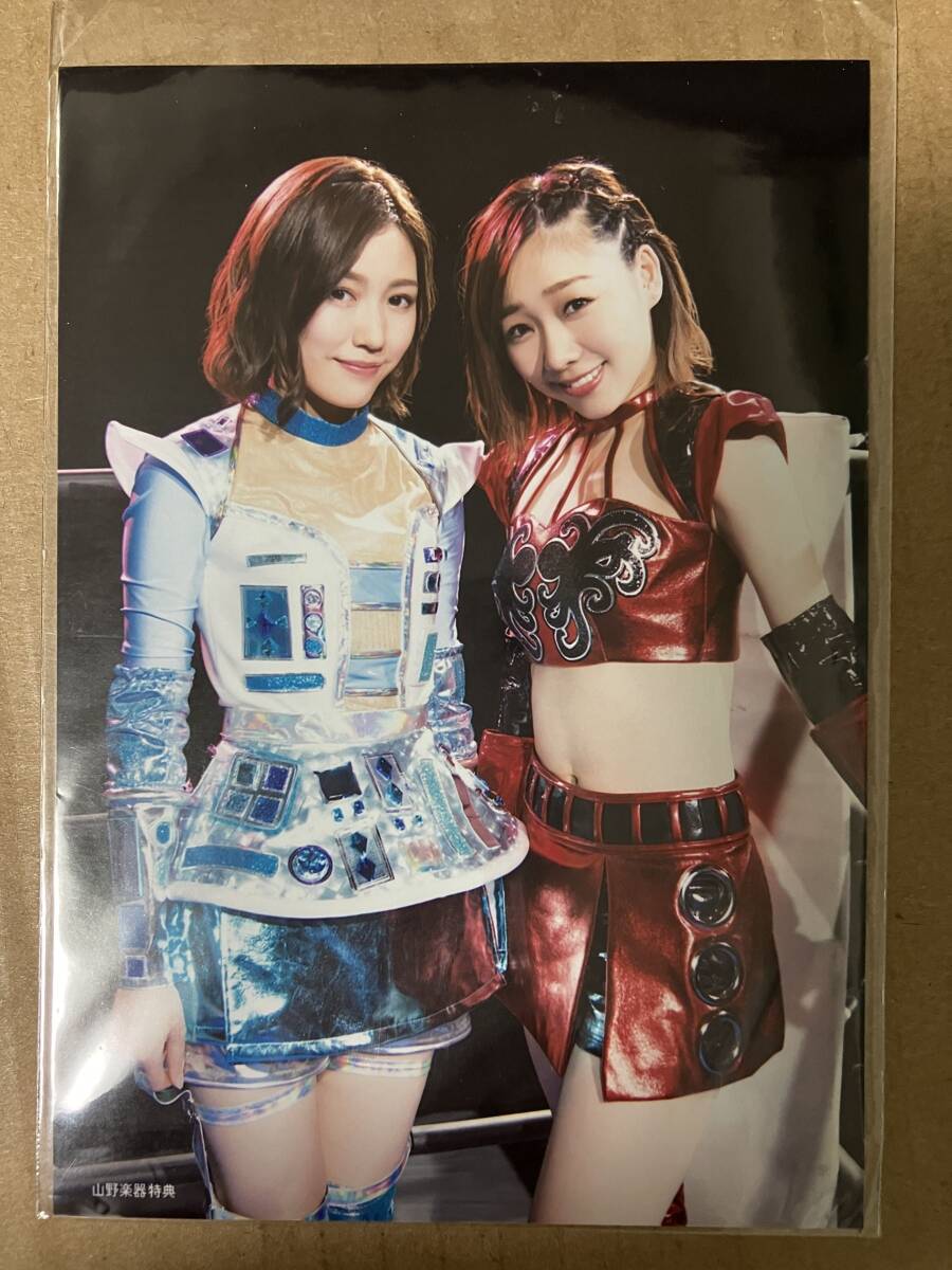 値下げ】非売品 マネパカード限定生写真 平手 友梨奈 マネパカード 欅 