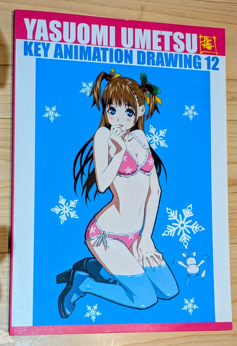しし座流星軍　梅津泰臣　KEY ANIMATION DRAWING 13 14 しし座流星軍(梅津泰臣/『YASUOMI UMETSU KEY ANIMATION DRAWING 14