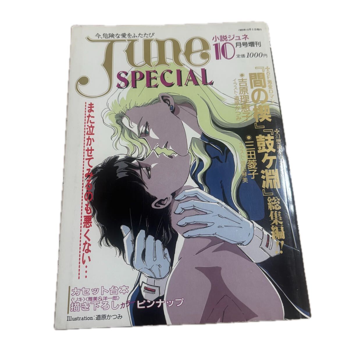 雑誌『June SPECIAL VOL.2 ジュネ スペシャル［間の楔］同人誌ワールド