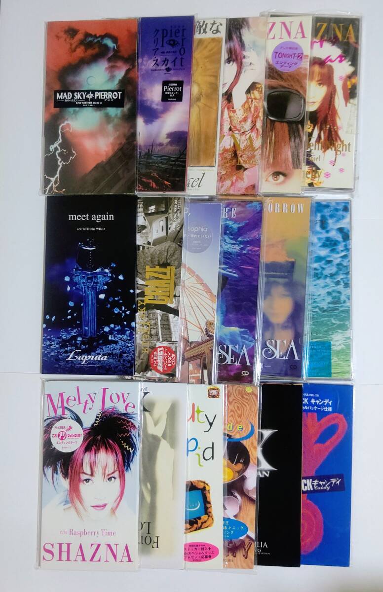 V系 ビジュアル系 バンド グッズセット ラファエル Raphael PIERROT