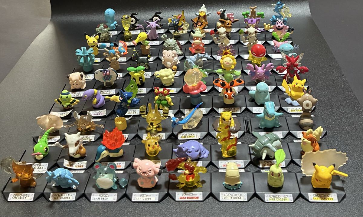 ポケモンバトルミュージアム 7 台紙 中古品 ポケモン フィギュア