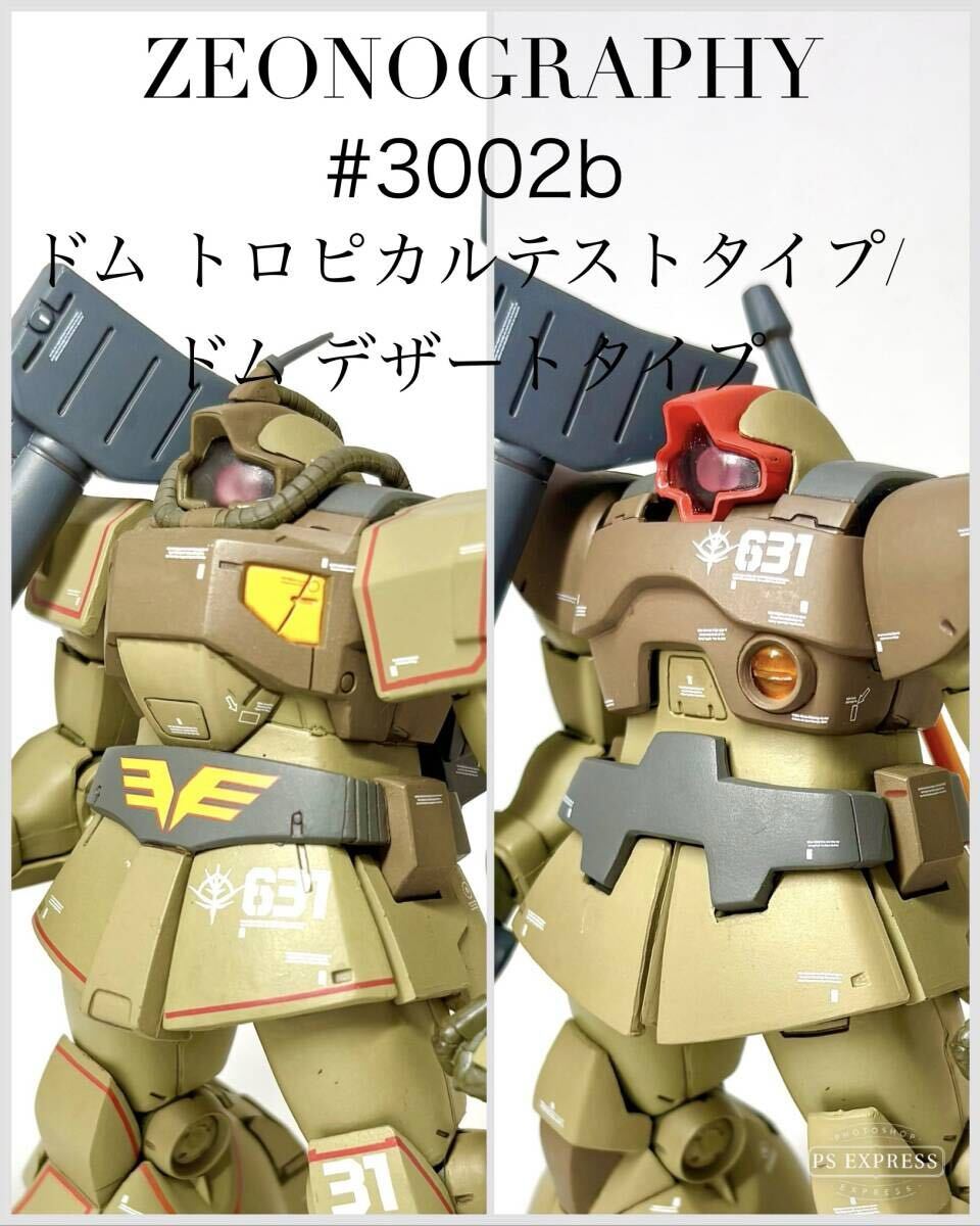 ZEONOGRAPHY #3002b YMS-09D ドム・トロピカルテストタイプ 中古品