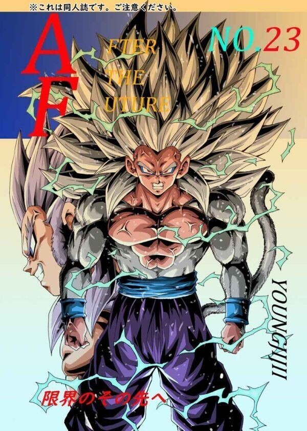 中古・同人誌】「ドラゴンボールAF」1巻・2巻 ヤングじじいの落札情報