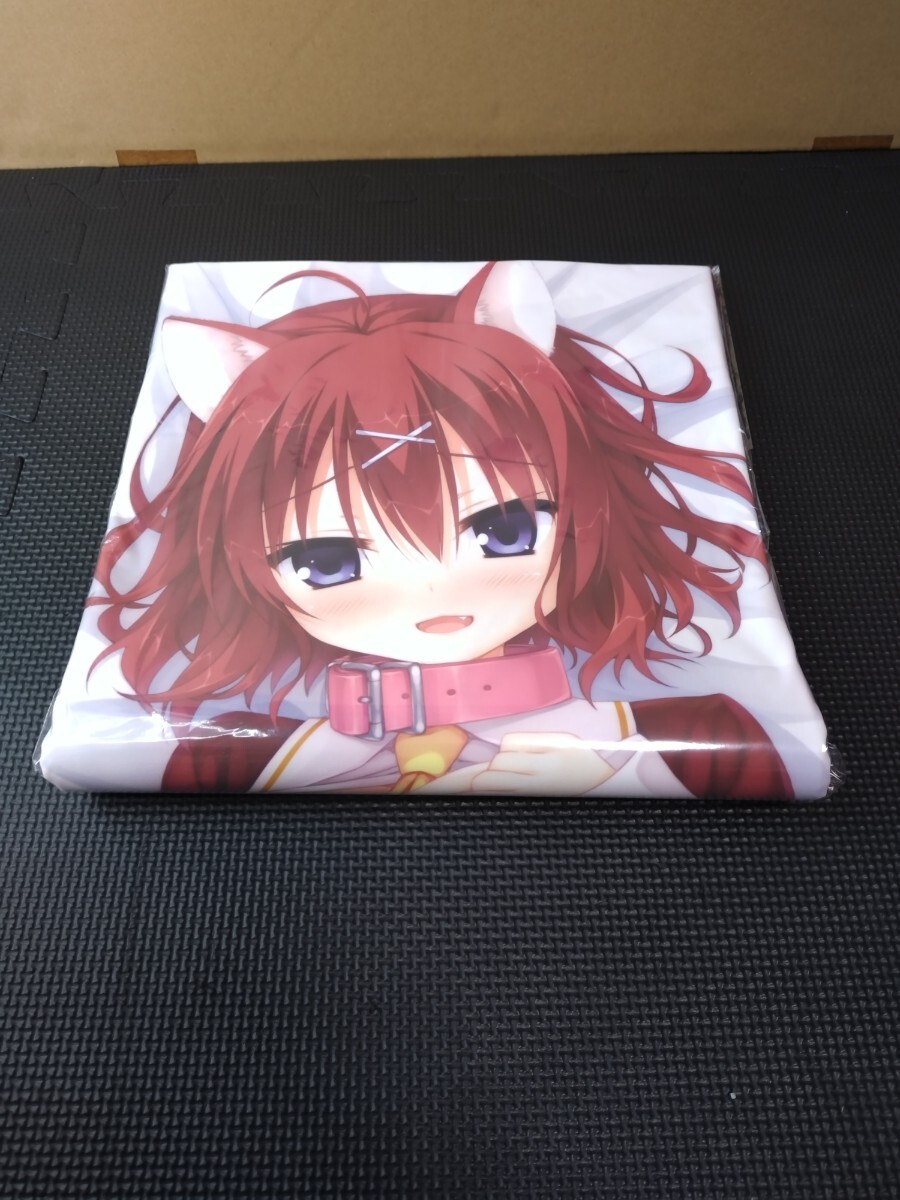 新品】むりりん 直筆色紙 ゆずソフト 天色＊アイルノーツ こぶいちの