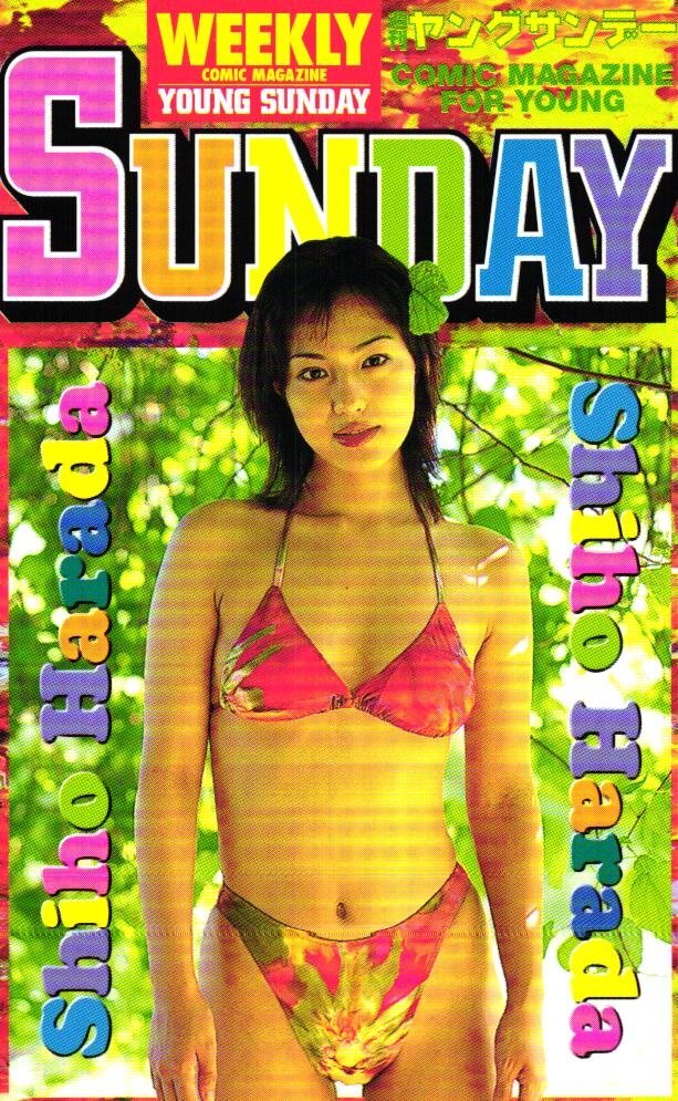 ☆吹石 一恵 ヤングサンデー 4枚組☆テレカ50度数未使用kumi_45の
