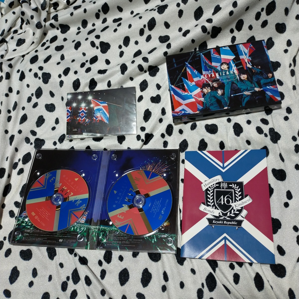 新品】欅坂46欅共和国2017特典ポストカードバラ売りてちねる微笑みが