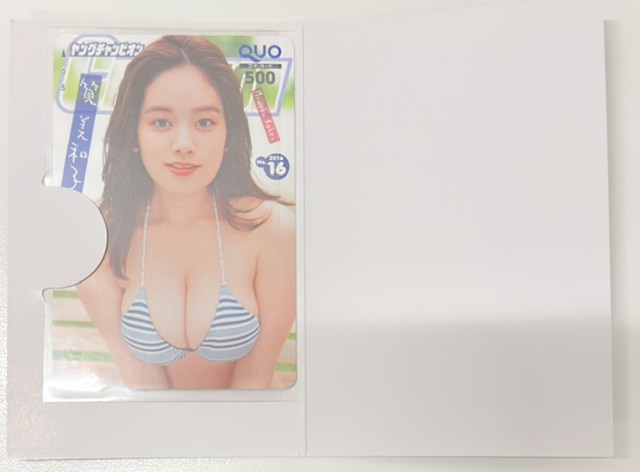 ゆA8692◇篠崎愛 【月刊ヤングチャンピオン 烈 2018年 No.12】付録