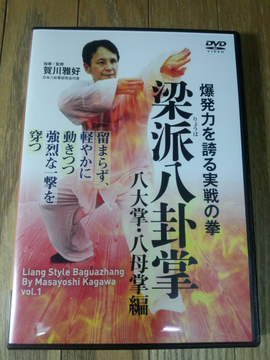キズなど無く 良好】八卦遊身掌 王樹金著 八卦掌中国武術功夫 の落札