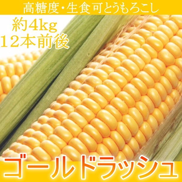 中古】マニュアル付 卓上ゲーム機 筐体 スロットマシン GOLD RUSH