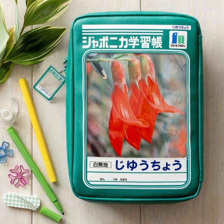 ジャポニカ学習帳 えにっき ぼくのなつやすみ 10冊入 送料無料(非売品) 購入特典□ぼくのなつやすみ3 ジャポニカ学習帳 え