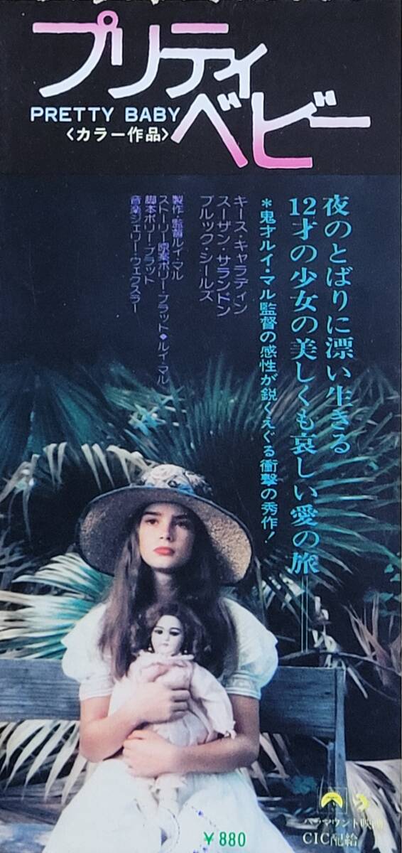 新品】米国女優 ブルック・シールズ 直筆サイン 青いサンゴ礁