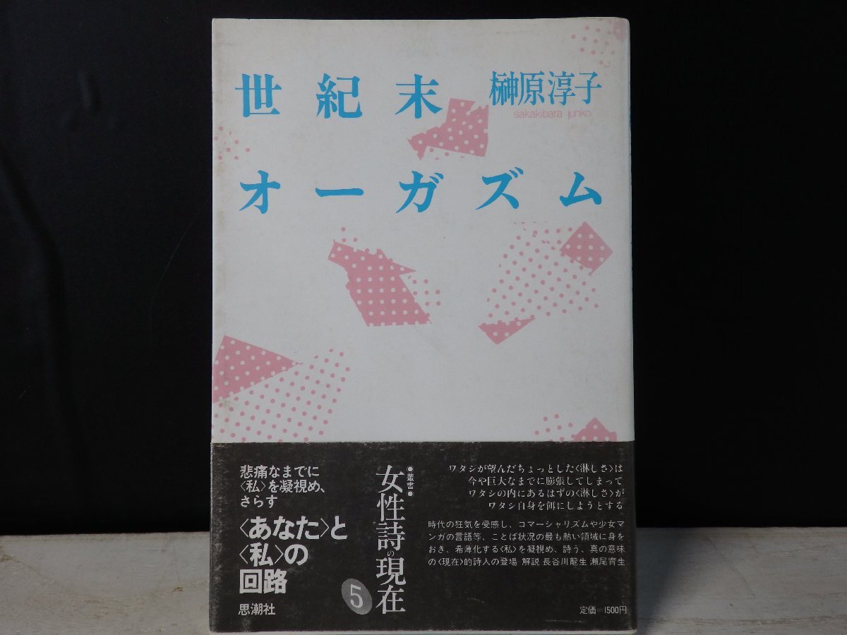 中古】ドラマDVD「世紀末の詩」全話 DVD4枚組BOX ○送料無料○ 竹野内