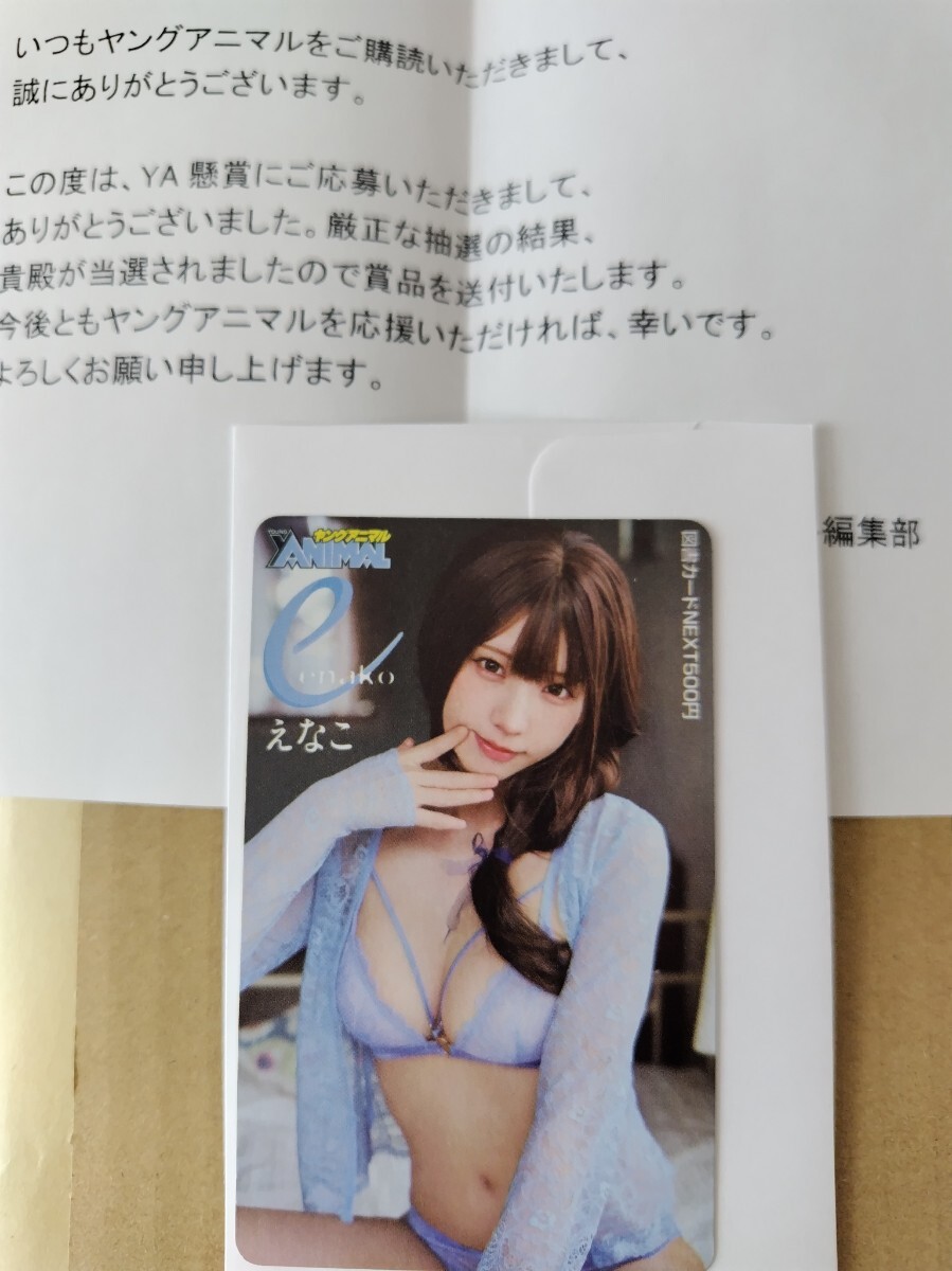 新品小倉優子 ヤングアニマル 抽選 抽プレ／ビキニ水着 お尻 図書
