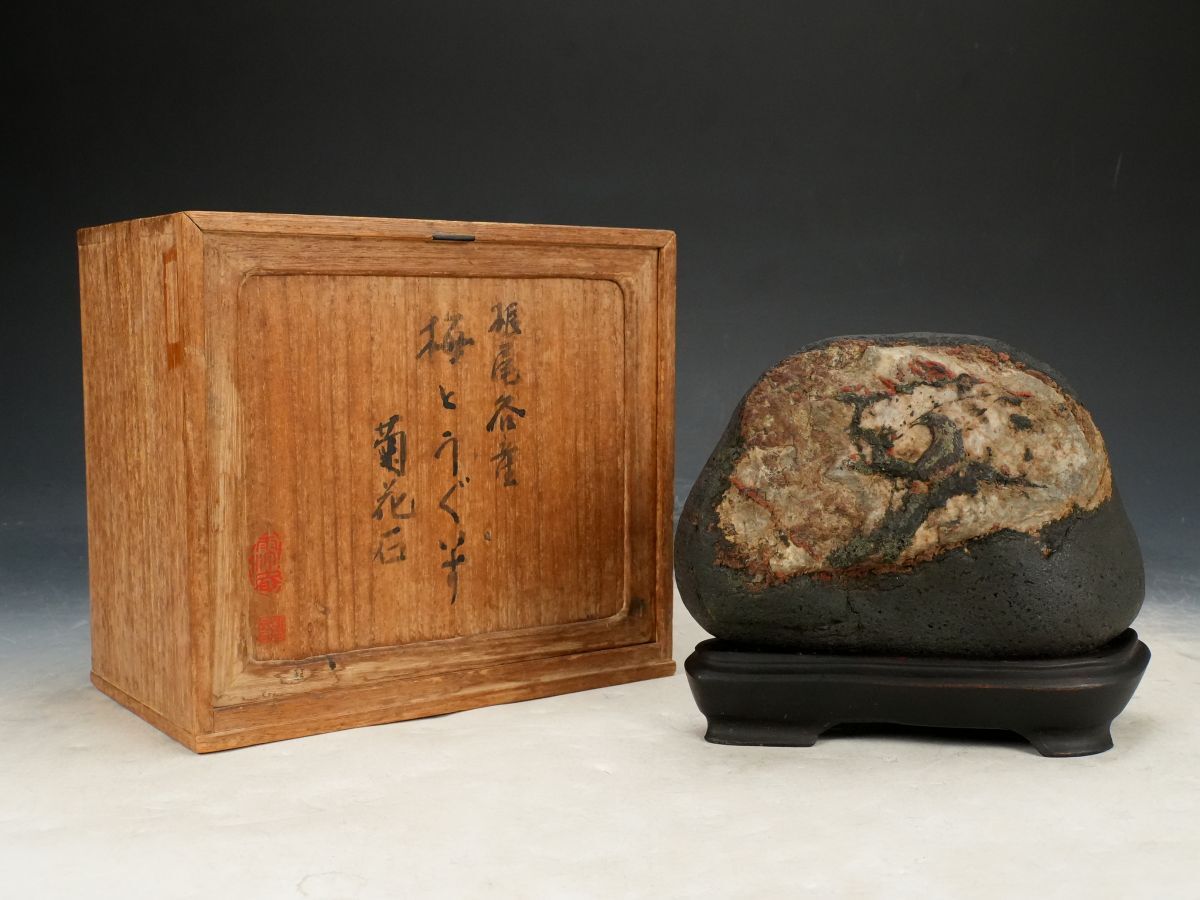 ♯ 鑑賞石（ 嵐渓石 ）【五色石】13キロ 幻の銘石 うぶ石 土中石 検索
